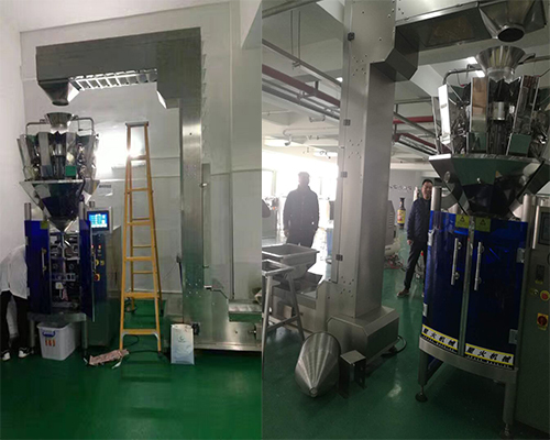 中藥飲片包裝機
